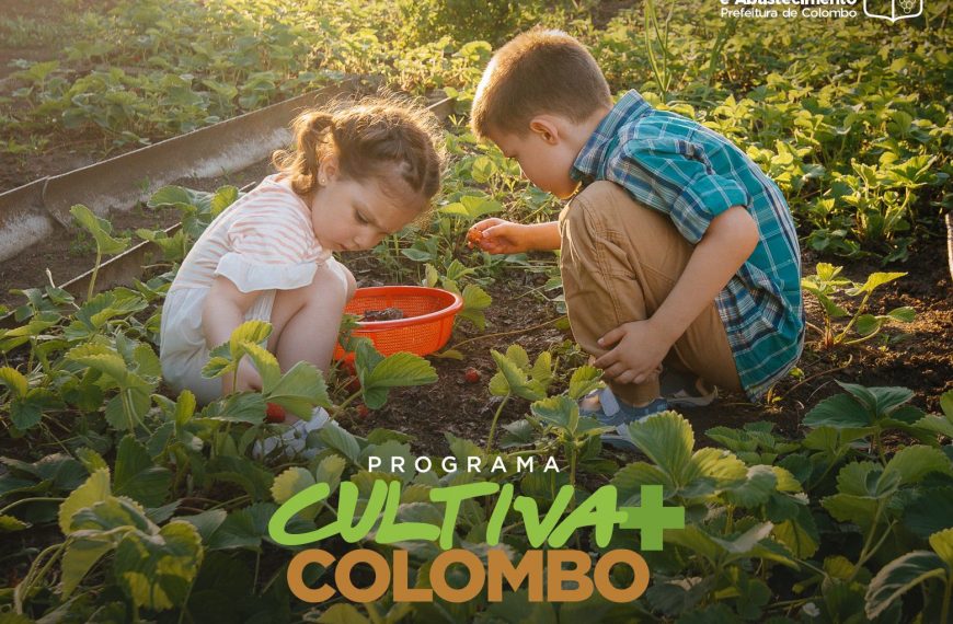 Programa Cultiva Mais Colombo lança mais uma unidade, no dia 16