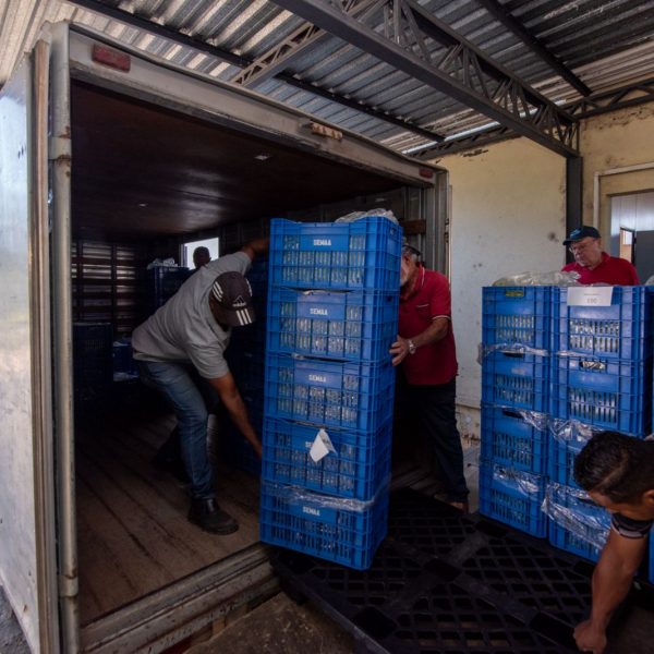 Programa de Aquisição de Alimentos: Secretaria Municipal de Agricultura e Abastecimento realiza mais uma entrega