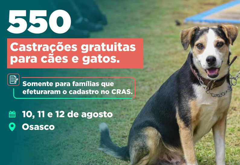 Osasco terá castração gratuita para cães e gatos entre os dias 10, 11 e 12