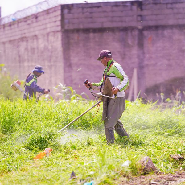 Vila Zumbi dos Palmares recebe trabalho de limpeza e revitalização de área verde