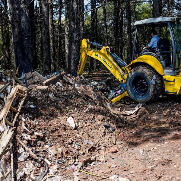 Limpeza no Jardim das Graças retira 439 toneladas de resíduos e madeira