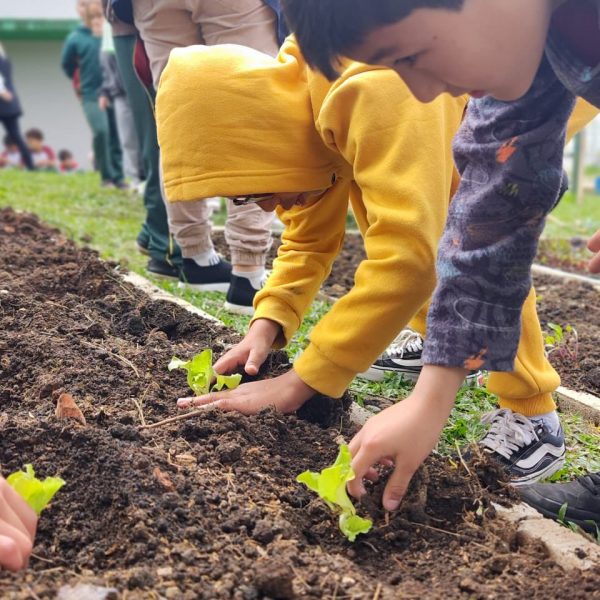 Prefeitura inaugura Horta Pedagógica na Escola Municipal Isolina Ceccon de Colombo