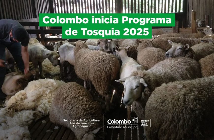 Colombo inicia Programa de Tosquia 2025 para fortalecer a ovinocultura local
