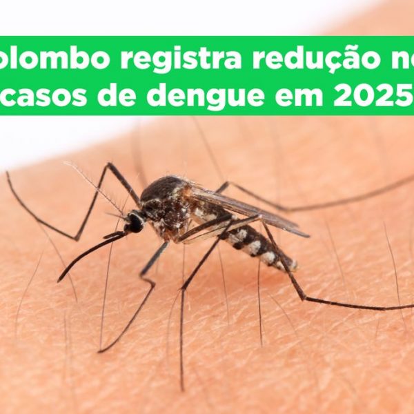 Colombo registra queda significativa nos casos de dengue em 2025