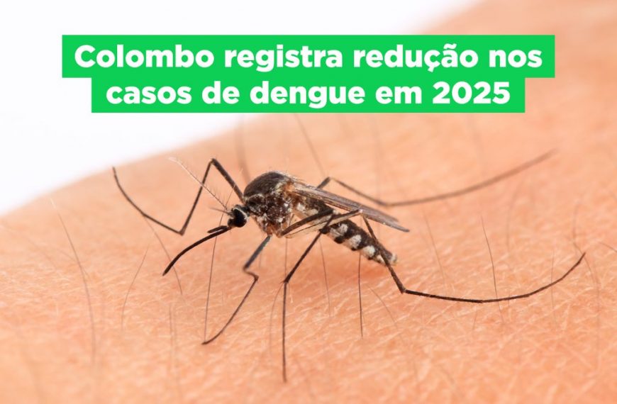 Colombo registra queda significativa nos casos de dengue em 2025