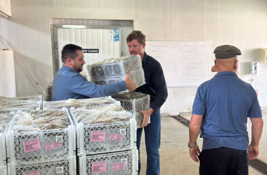 Do campo para a mesa: produtores de Colombo recebem incentivo para ampliar a produção&hellip;
