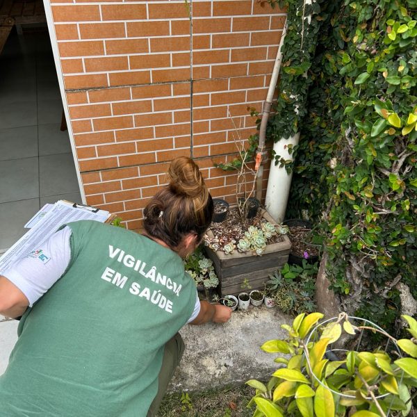 Colombo+Limpa Plus recolhe 236 toneladas de resíduos e realiza ações de combate à dengue no Roça Grande