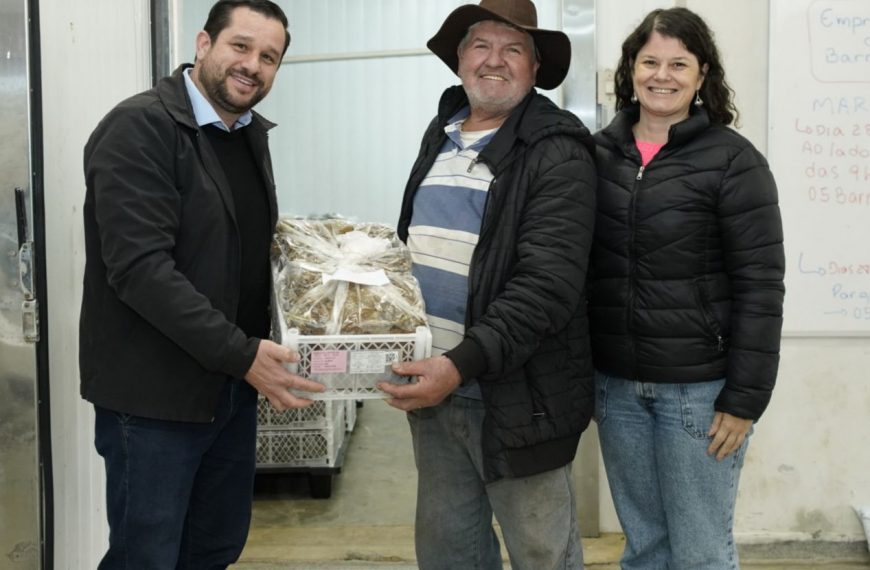 Colombo distribui quase 70 mil mudas de morango e impulsiona a produção rural