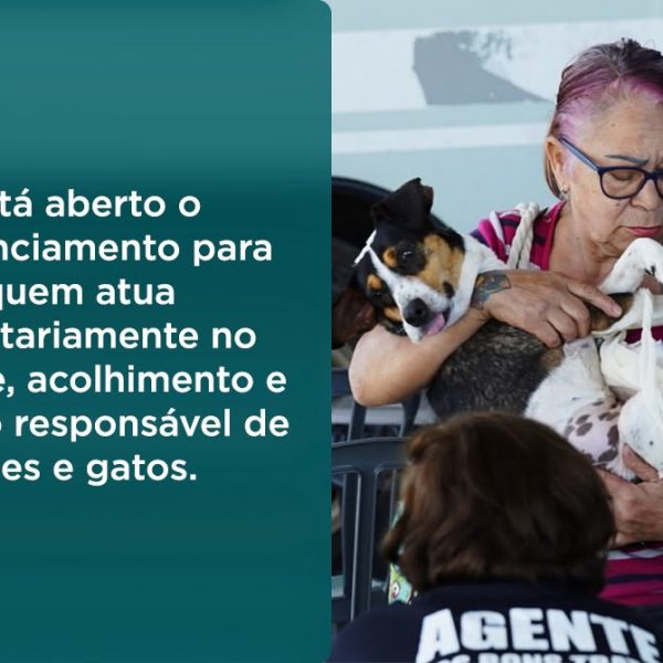 Credenciamento de protetores independentes de animais está com inscrições abertas