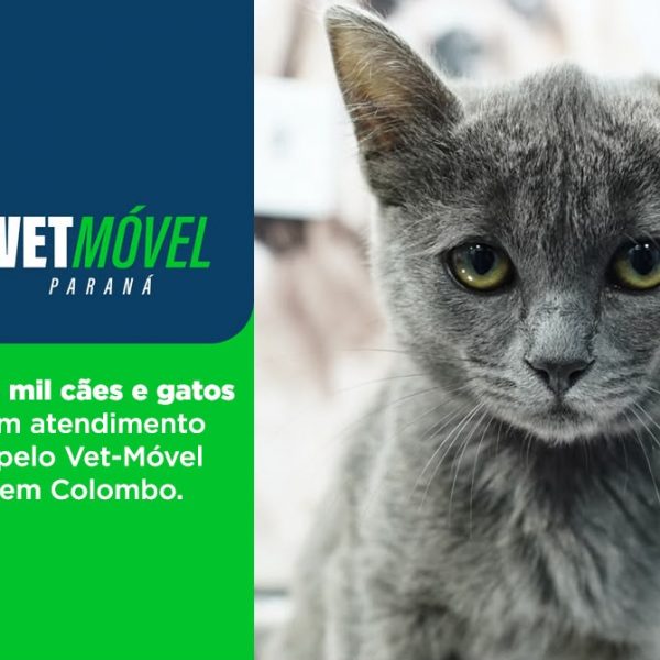 Vet-Móvel Paraná realiza mais de 5,3 mil atendimentos gratuitos; 2,8 mil animais agendados não compareceram