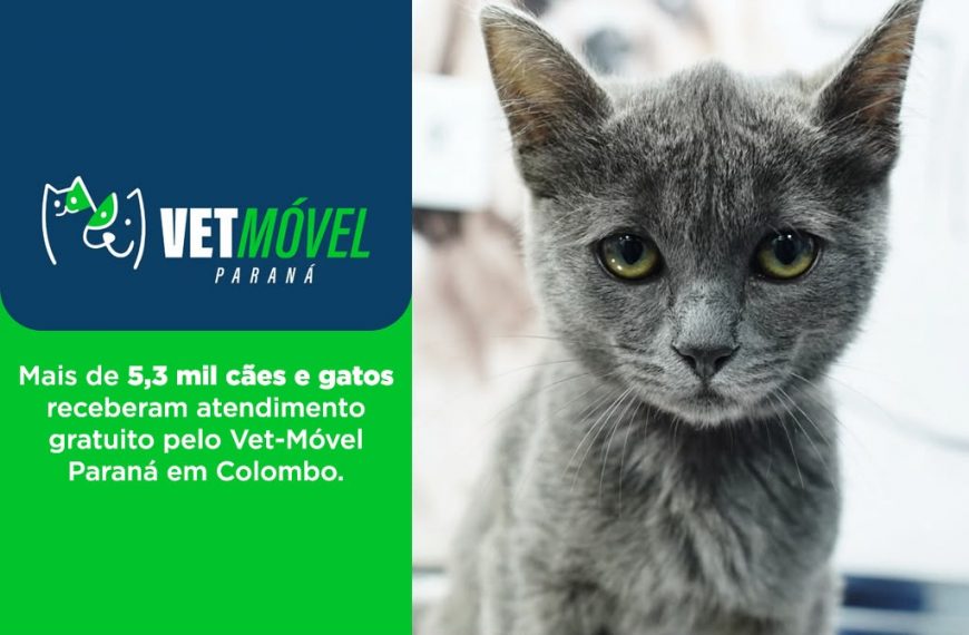 Vet-Móvel Paraná realiza mais de 5,3 mil atendimentos gratuitos; 2,8 mil animais agendados não compareceram