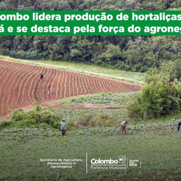 Força do agronegócio: Colombo é líder na produção de hortaliças no Paraná