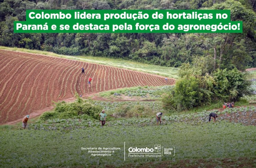 Força do agronegócio: Colombo é líder na produção de hortaliças no Paraná