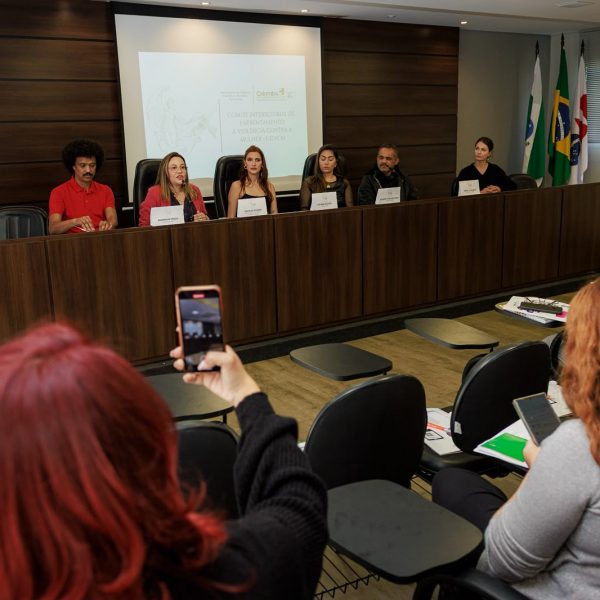 Comitê de Enfrentamento à Violência Contra a Mulher realiza primeira reunião