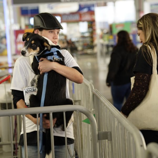 Campanha de adoção garante novo lar para três animais em Colombo