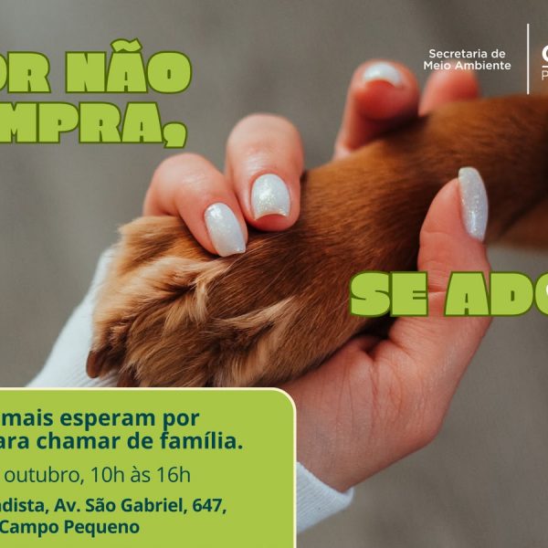 Colombo promove Feira de Adoção de Animais