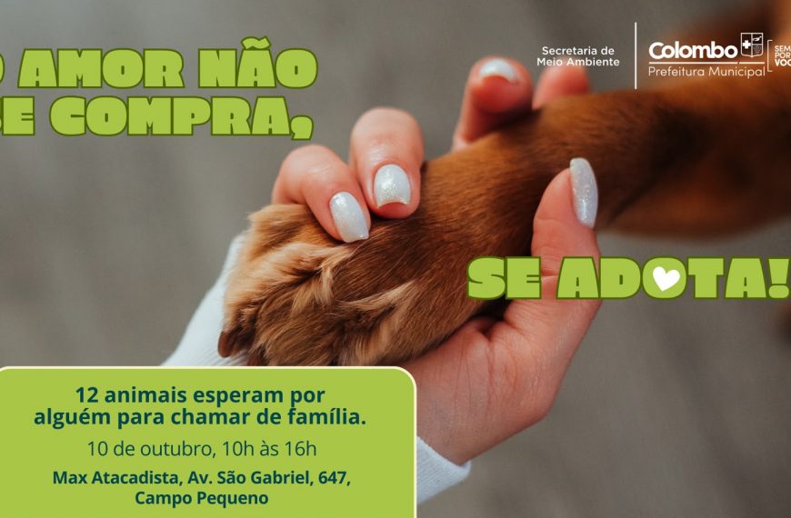 Colombo promove Feira de Adoção de Animais
