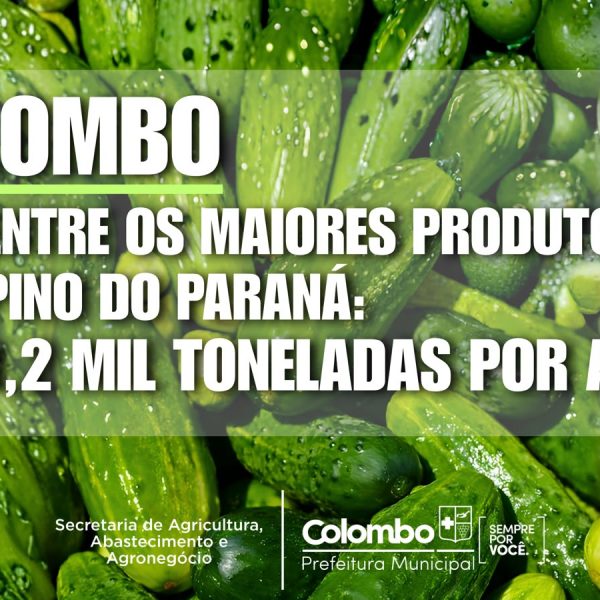 Colombo é o 4º maior produtor de pepino do Paraná, aponta levantamento