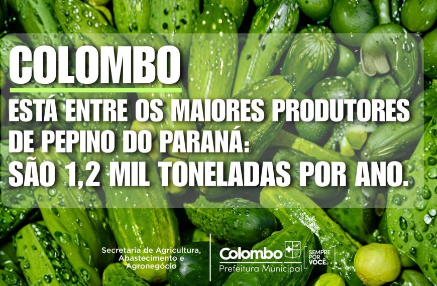 Colombo é o 4º maior produtor de pepino do Paraná, aponta levantamento